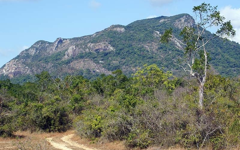 Ritigala Mountain