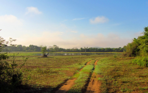 Wasgamuwa National Park