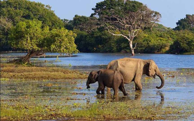 Madhu Road National Park – Sri Lanka