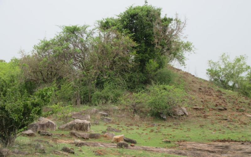 Muthugala | An Untouched Archaeological Heritage | Sri Lanka