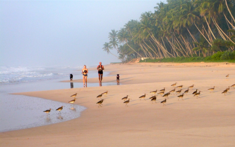 Koggala Beach - Jogging - Sri Lanka