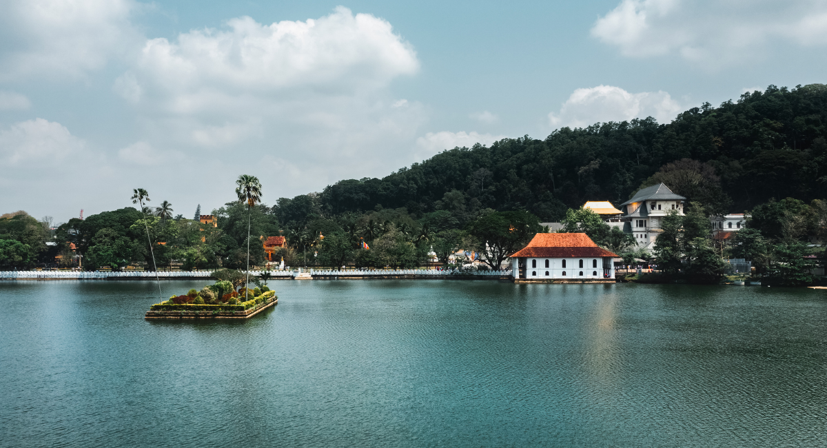 Ceylon Wild Tours