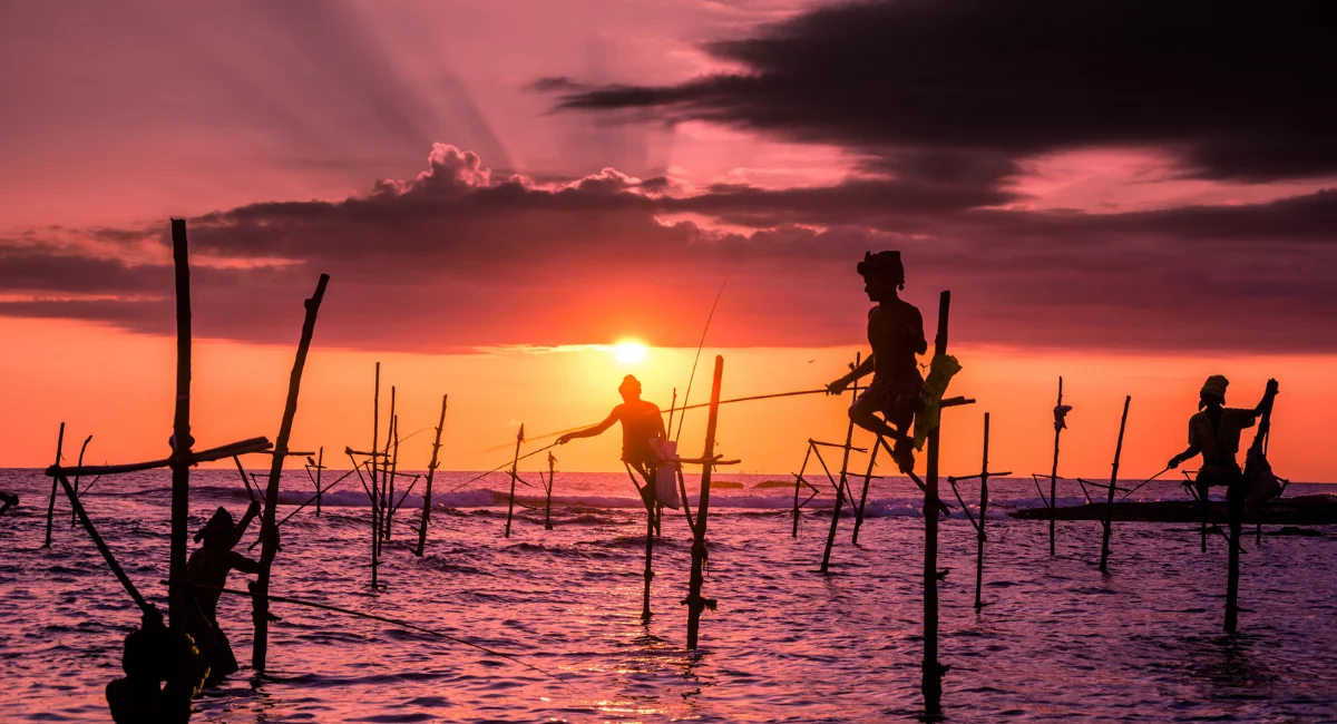 Galle Stilt Fishing