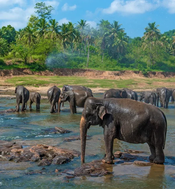 Sabaragamuwa Province