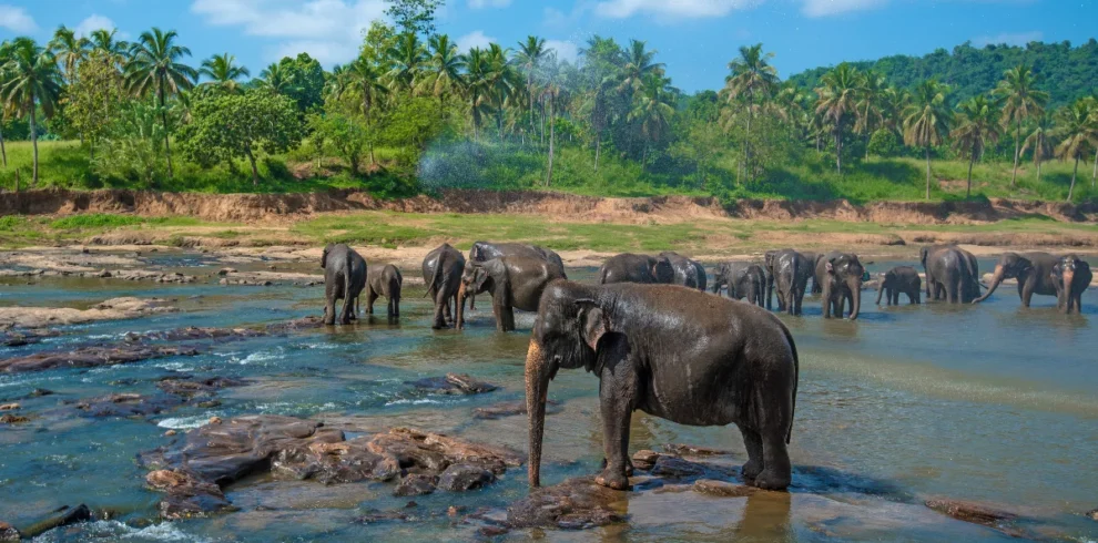 Sabaragamuwa Province