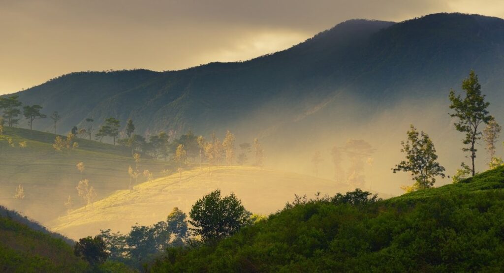 Uva Province