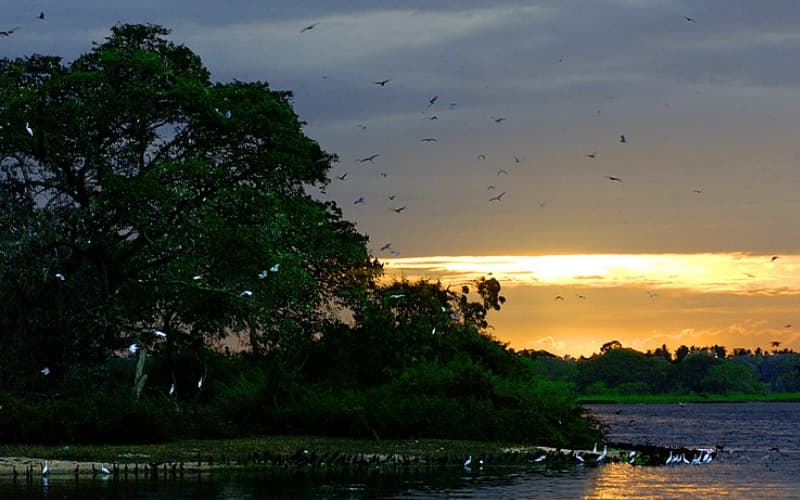 Bundala National Park