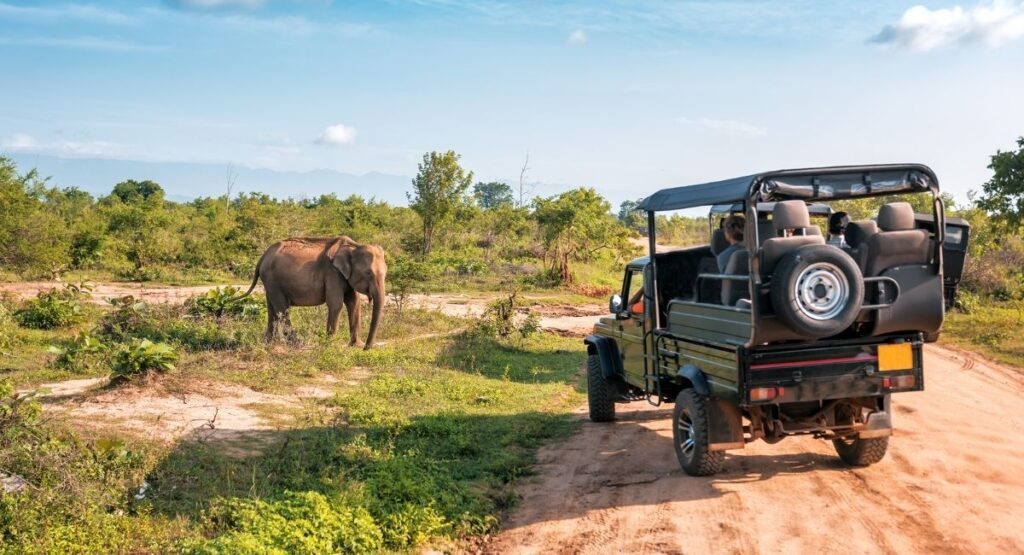 Wildlife and Nature Trips