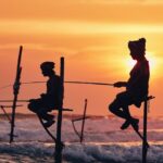 Stilt Fishing - Galle