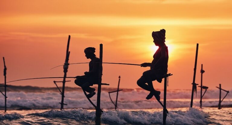 Stilt Fishing - Galle
