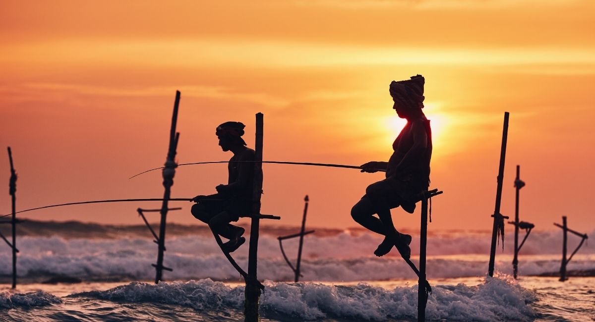 Stilt Fishing - Galle