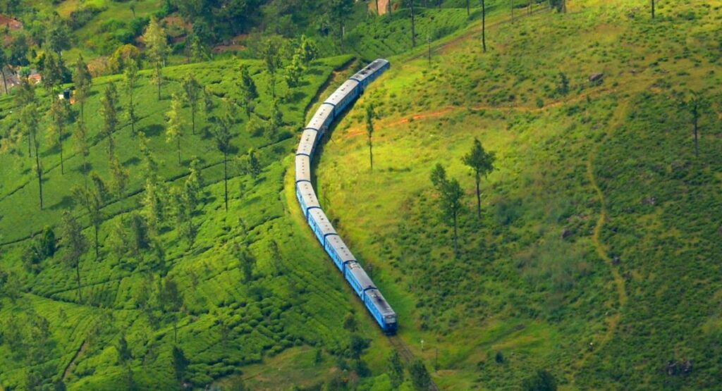 Ella Train Tour