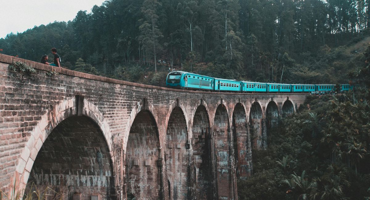Ella Train Tour