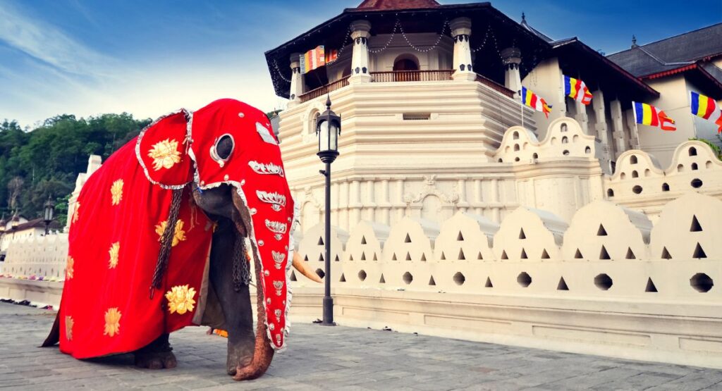 Rehearsal for Esala Perahera