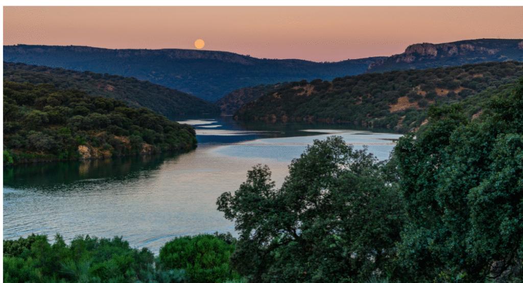 Gal Oya National Park