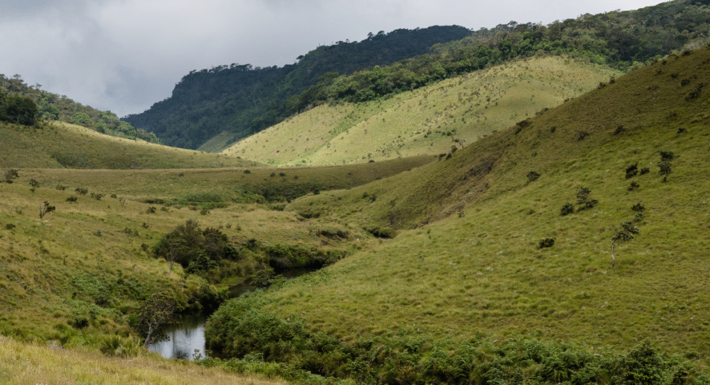 Horton Plains - Sri Lanka