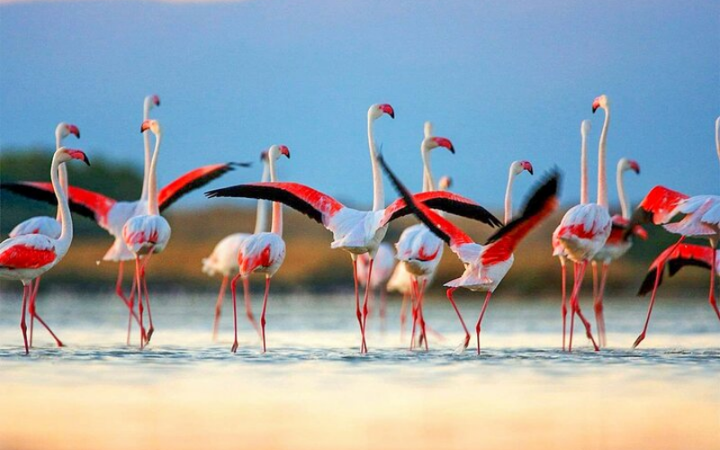 Chundikkulam National Park- Sri Lanka