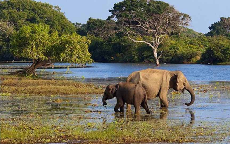 Madhu Road National Park